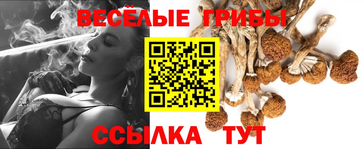 Галлюциногенные грибы мицелий  Галлюциногенные грибы Cubensis  Ртищево  Вход с VPN 